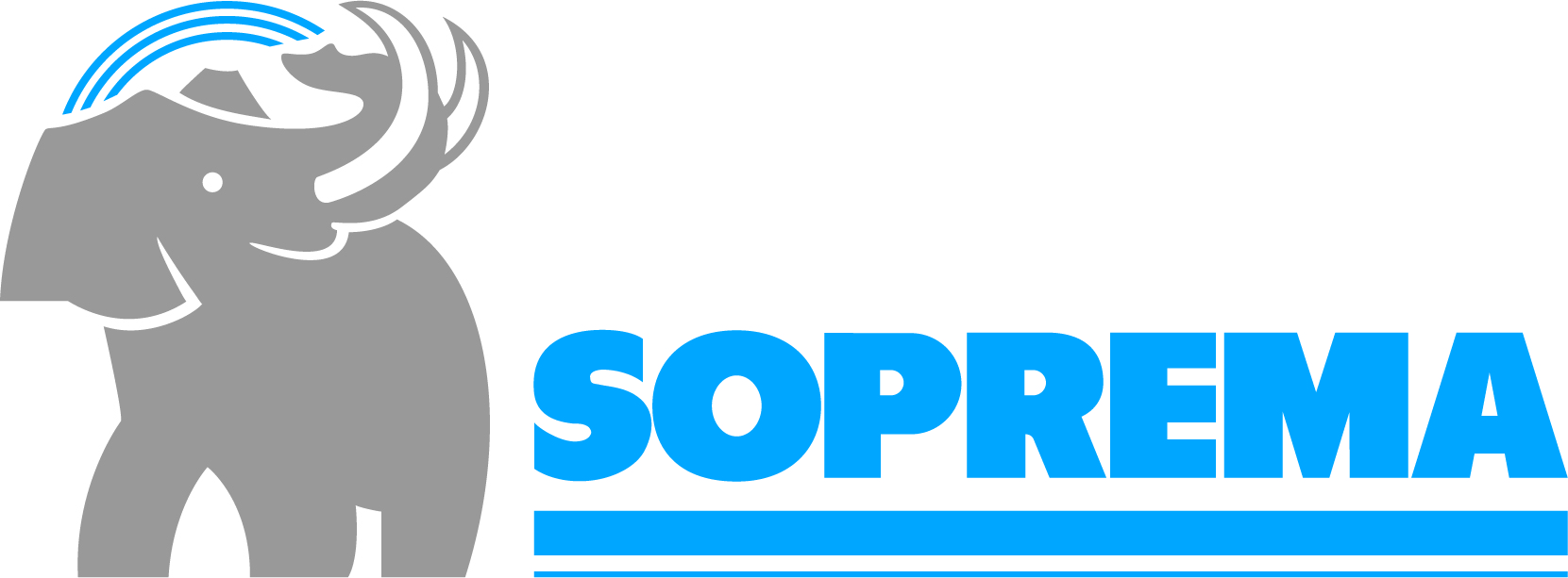 SOPREMA SAS (TOPOX)