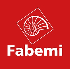 GROUPE FABEMI - DIVISION STRUCTURES