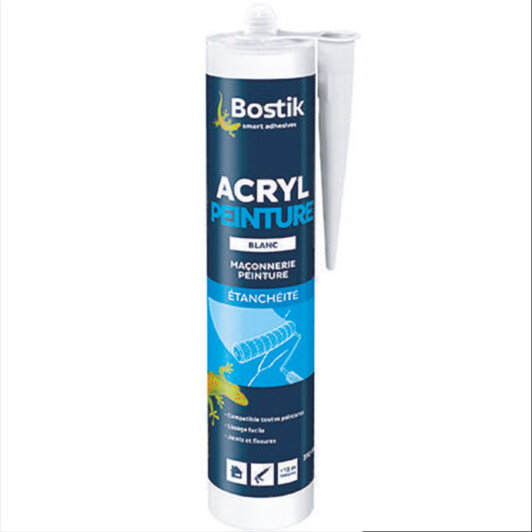 ACRYL PEINTURE BOSTIK