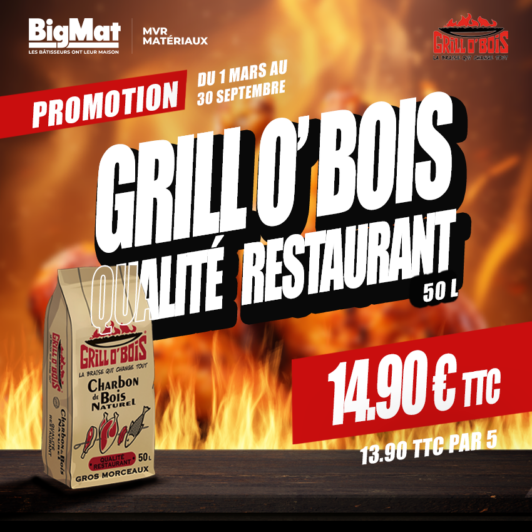 Charbon de bois Grill O'Bois 50L - Qualité restaurant