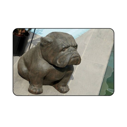 Bulldog Assis 45x30x45 cm - 50 kilos - Penez Herman