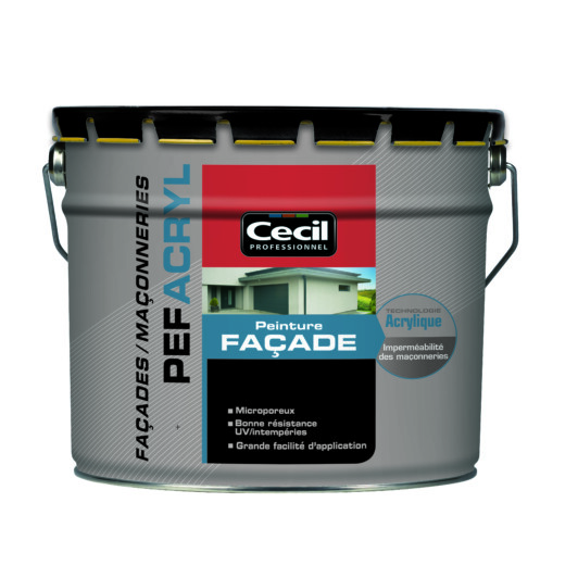 PEINTURE FACADE