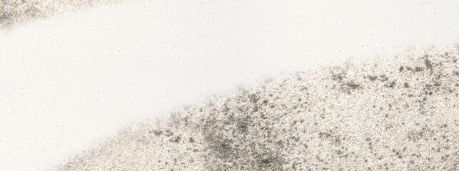 Comment nettoyer la mousse sur sa terrasse ? Les conseils de FILA