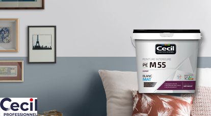 Focus sur Cecil Professionnel