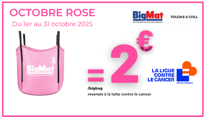 Octobre Rose 2025 : tous mobilisés contre le cancer