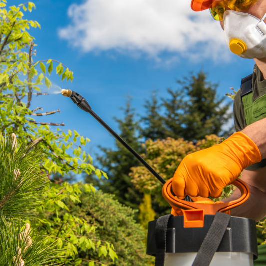 TRAITEMENT FONGICIDE 20L